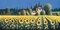 Summer Blooms Poster Print by David Short - Item # VARPDX8559